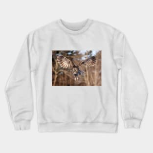 Great Grey Owl swoops down Crewneck Sweatshirt